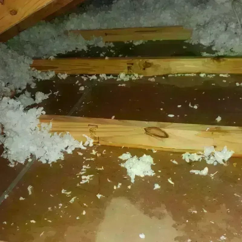 Attic Water Damage in Johnston, SC